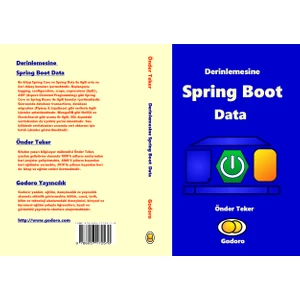 Derinlemesine Spring Boot Data