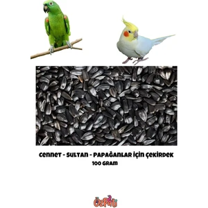 Cennet - Sultan Papağanı ve Papağan Türleri Için Siyah Çekirdek 100 Gram
