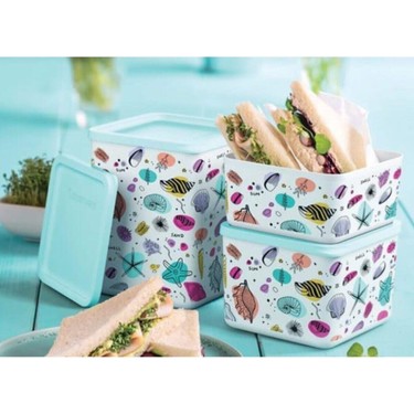 Tupperware Kubik Set 3lü Fiyatı, Taksit Seçenekleri ile Satın Al