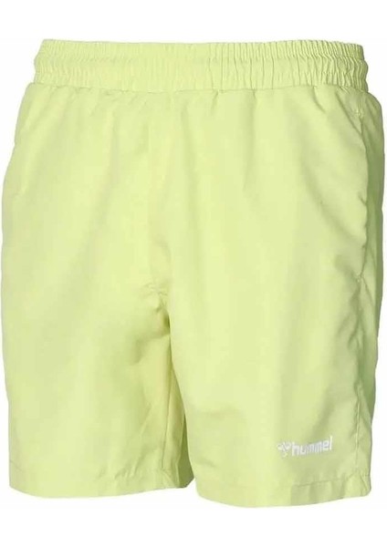 Jesse Swım Shorts Erkek Deniz Şortu 950058-2211DAUQUIRI