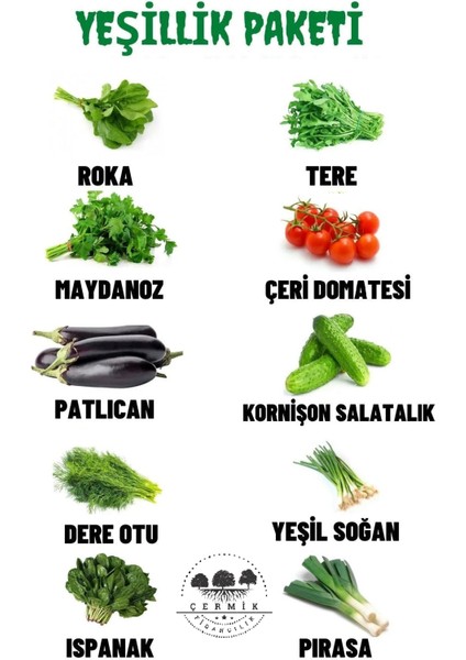 10 Çeşit Karışık Tohum Paketi 2