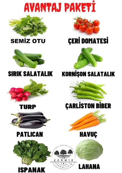 Çermik Fidancılık 10 Çeşit Karışık Tohum Paketi 4