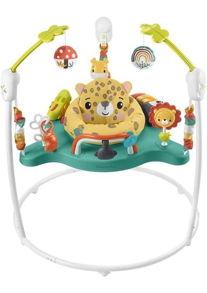 HND47 Fisher-Price Sevimli Leopar Jumperoo