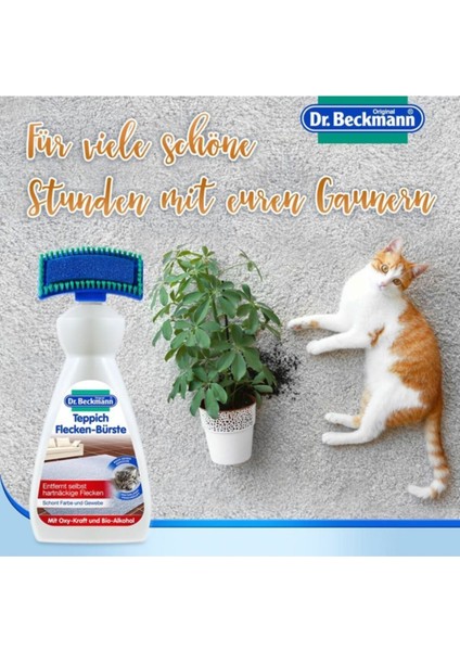 Koltuk Leke Temizleyici Sprey ve Beckmann Fırçalı Halı Leke Çıkarıcı fiyatları