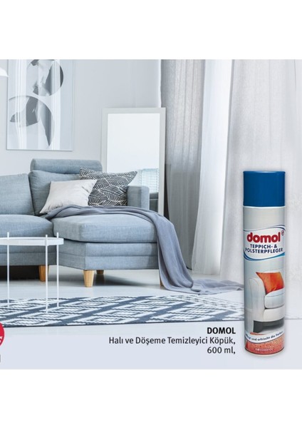 Koltuk Leke Temizleyici Sprey ve Beckmann Fırçalı Halı Leke Çıkarıcı modelleri