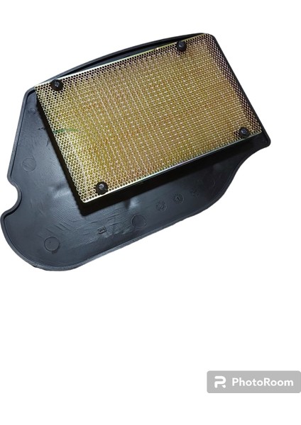 Hava Filtre Elemanı Tvs Wego 110 Orijinal