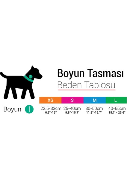 SPACE KÖPEK BOYUN TASMASI XS
