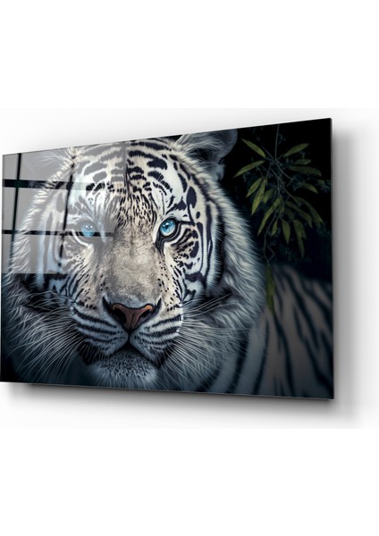 Beyaz Kaplan Cam Tablo fiyatları