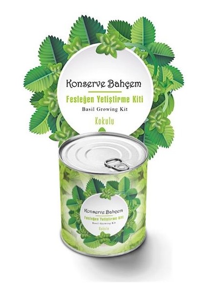 Buffer® Konserve Bahçem Evde Konservede Kokulu Fesleğen Yetiştirme Kiti