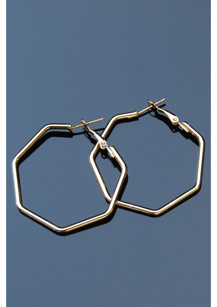 Boru Altıgen Klipsli Küpe 2mm 4×4 fiyatları