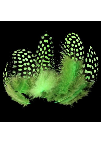 50 Adet Puantiyeli Yeşil Siyah Kuş Tüyü Yeşil Kuş Tüyü Decor Green Bırd Feather Yeşil Şeffaf Balon Tüyü
