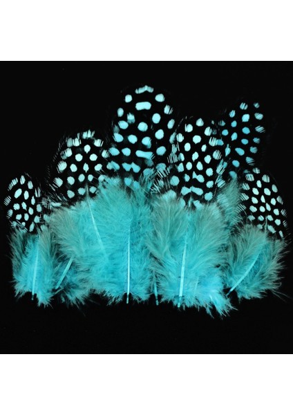50 Adet Puantiyeli Mavi Siyah Kuş Tüyü Mavi Kuş Tüyü Decor Blue Bırd Feather Mavi Şeffaf Balon Tüyü