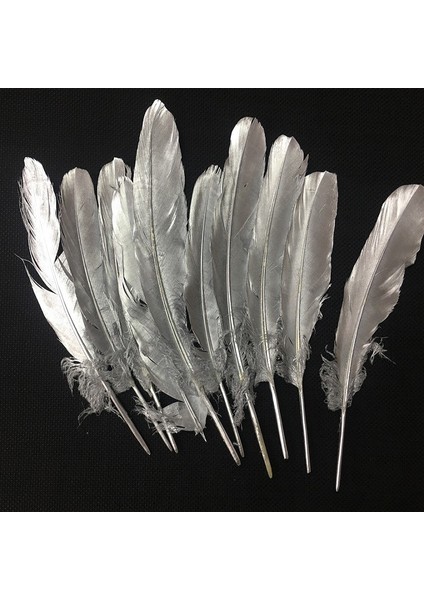 10 Adet Metalik Parlak Gümüş Kuş Tüyü Gümüş Kuş Tüyü Decor Silver Bırd Feather Gümüş Şeffaf Balon Tüyü