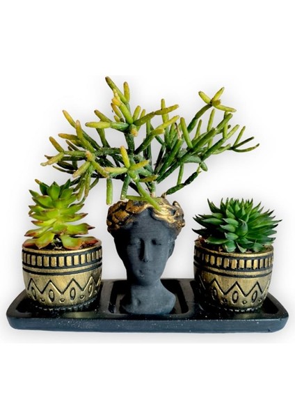Sedum & Rhipsalis 3'lü Sukulent Seti | Helen Siyah & Gold Seri