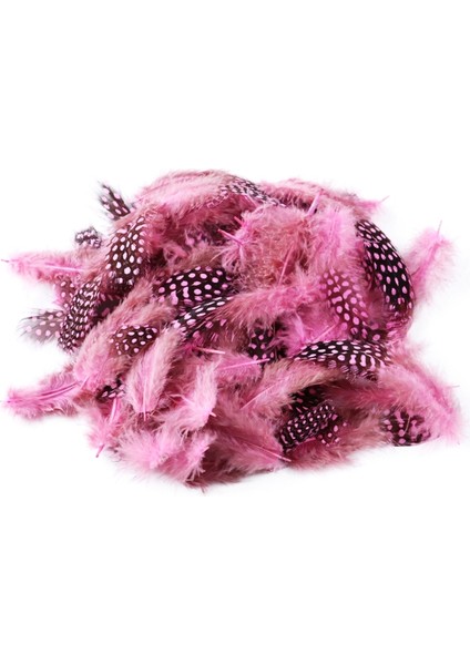 50 Adet Puantiyeli Pembe Siyah Kuş Tüyü Pembe Kuş Tüyü Decor Pink Bırd Feather Pembe Şeffaf Balon Tüyü