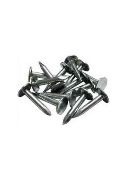 Shingle Çatı Kaplama Çivisi - 1 kg