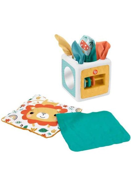 HML64 Fisher-Price Eğlenceli Aktivite Küpü