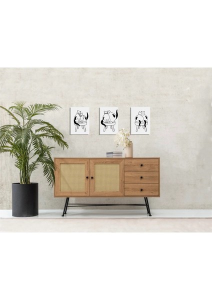 3’lü Poster Yan Yana Serisi - Kediler 30×40 cm