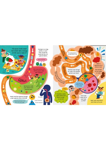 Step Inside Science: Your Body