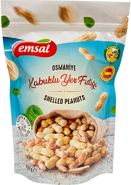 Kavrulmuş Tuzlu Kabuklu Osmaniye Yer Fıstığı 250 gr