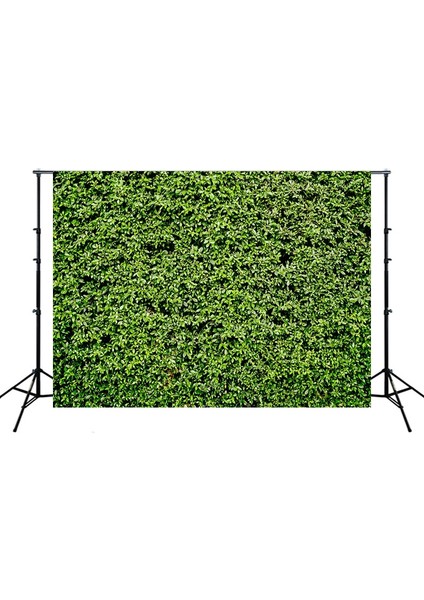 Doğum Günü Partisi Fotoğraf Arka Plan (Yurt Dışından)