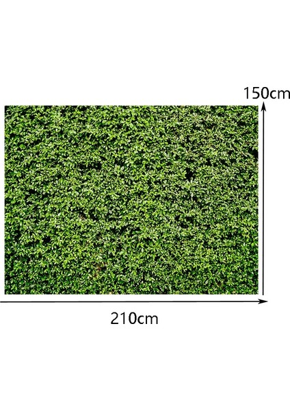 Doğum Günü Partisi Fotoğraf Arka Plan (Yurt Dışından) modelleri