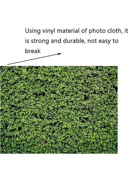 Doğum Günü Partisi Fotoğraf Arka Plan (Yurt Dışından) fırsatları