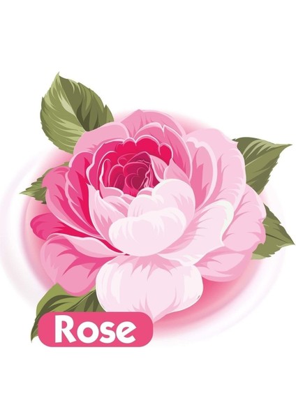 Islak Havlu Mendil 90 Yaprak Gül/rose 24 Lü Set 2160 Yaprak Plastik Kapaklı