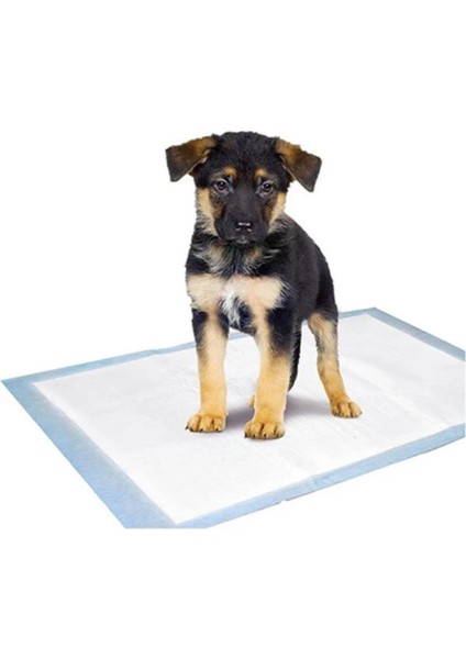 Mavvell 30 Lu Köpekler ve Kediler Için Tuvalet Pedi Süper Emici Yatak Koruyucu Serme Bezi 60X90 cm