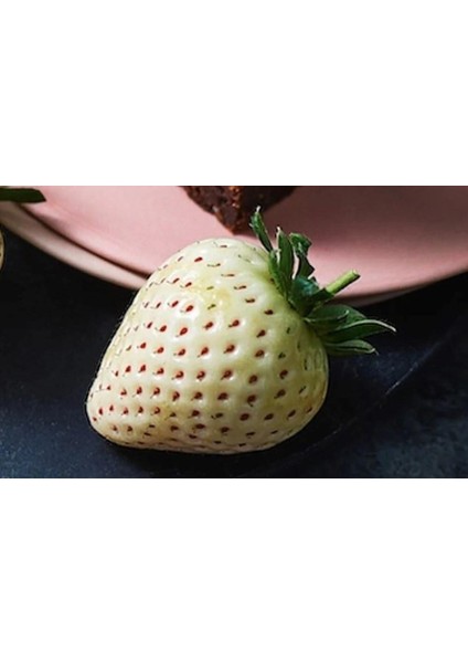 Beyaz Çilek Fidesi Pineberry