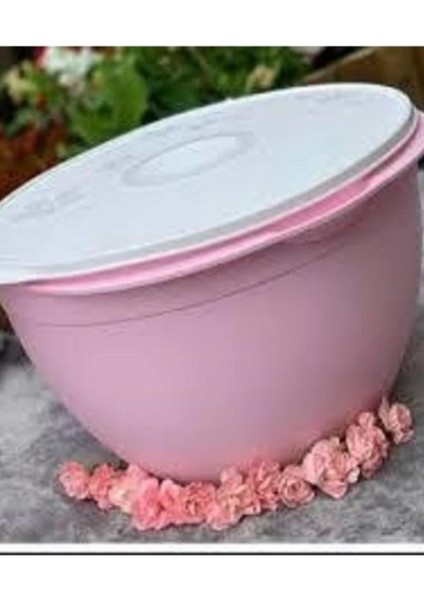 Şirine 10 Litre Hamur Yoğurt Mayalama , Saklama Kabı