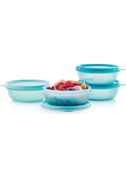 Buzdolabı Saklama Kabı 300 ml 4lü Set fiyatları