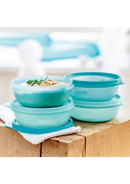 Buzdolabı Saklama Kabı 300 ml 4lü Set modelleri