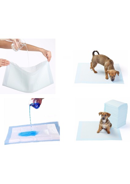 Yıkanabilir Köpek Çiş Pedi - 100 x 100 cm 5li Paket