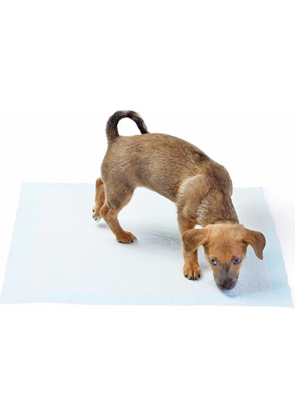 Yıkanabilir Köpek Çiş Pedi - 100 x 100 cm 5li Paket