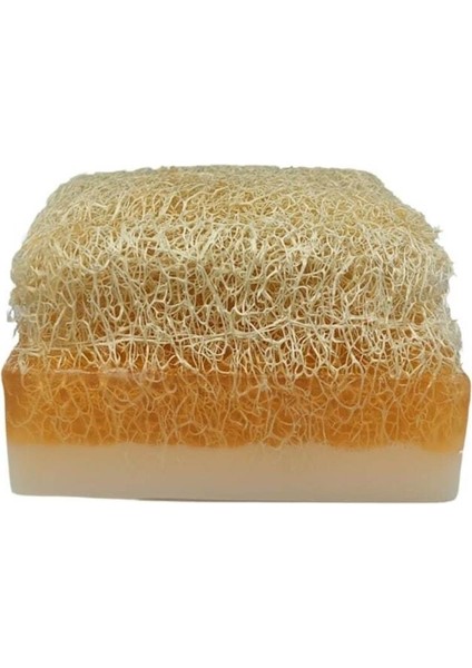 Budukkanda Sabun Aktarı Doğal Kabak Lifli Sabunlar 2'li Paket - Eşek Sütlü Aloe Veralı - Eşek Sütlü Ballı fiyatları