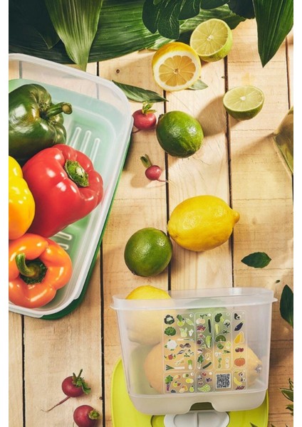 Sera Serisi Sebze Meyve Saklama Kabı 4.4 Lt fırsatları