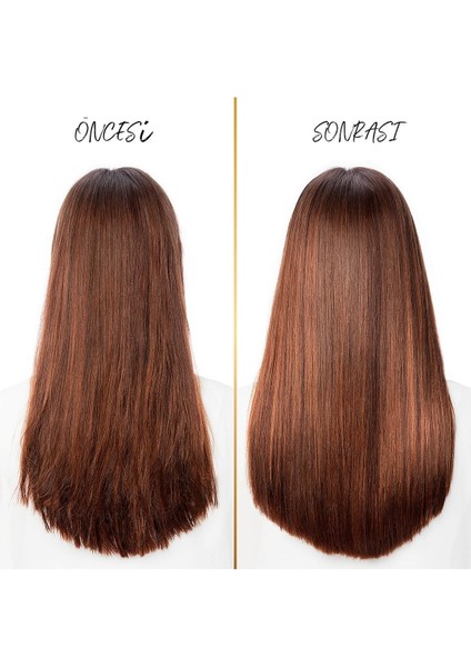 Şampuan Onarıcı ve Koruyucu Bakım 400 ml 6 Adet Pantene Onarıcı fiyatları