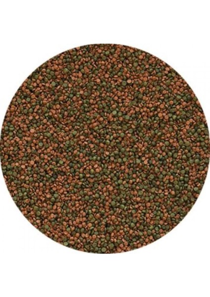 Cichlid Gran Granül Balık Yemi 250 gr fiyatları