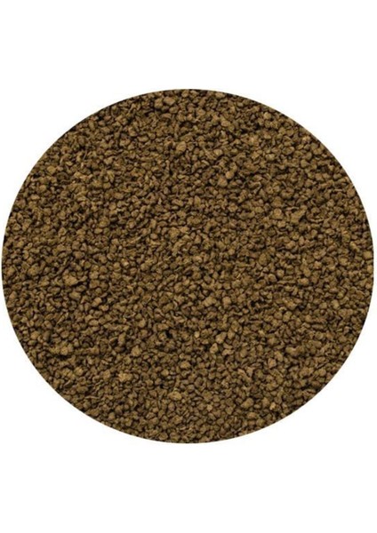 Discus Gran Wild 1000ML 440 gr fiyatları