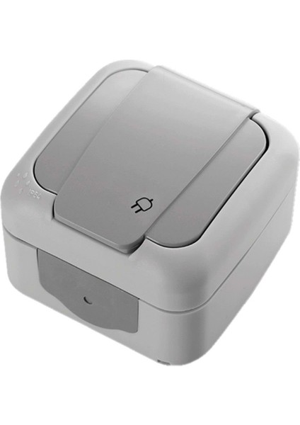 Palmiye Nemliyer Topraklı Priz