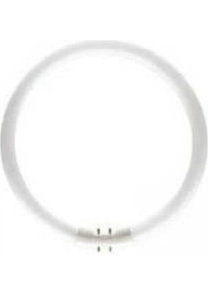 Phılıps T5 22W/840 1ct/10 4000KELVIN Günışığı Floresan Ampul Floresan