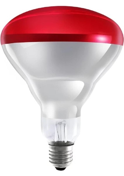 Ledvance 250W Infrared Ampul BR40 E27 Isıtıcılı Lamba Kırmızı Işık fiyatları
