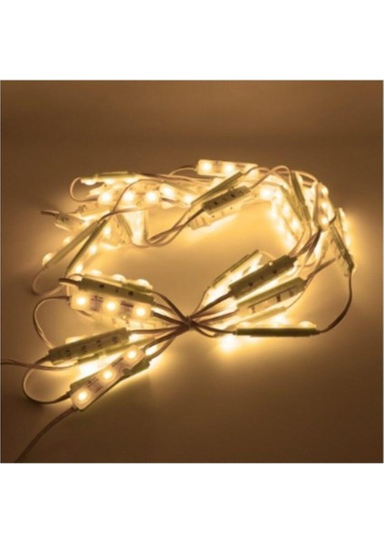 1.2W Modül LED Günışığı CT-4591