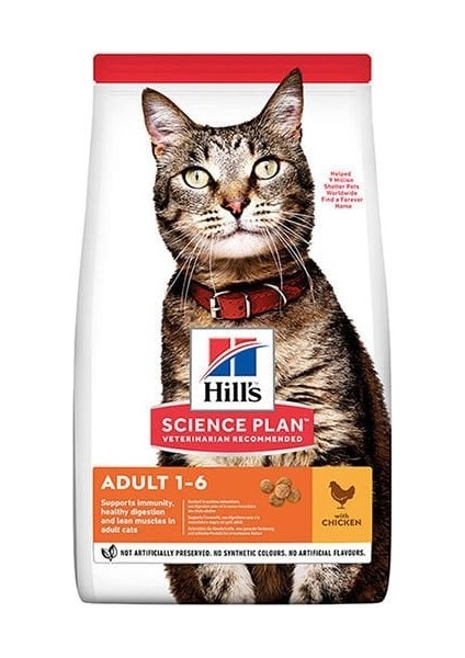 Adult Tavuklu Yetişkin Kedi Maması 15 kg