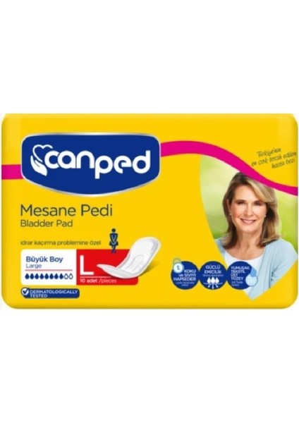 Mesane Pedi Büyük L Beden