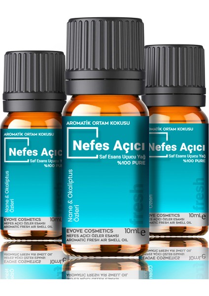 Fresh Oda Kokusu 3 Adet 10ML Set Aromatik Buhardanlık Difüzör Uçucu Esansiyel Yağ