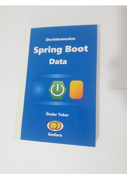 Derinlemesine Spring Boot Data