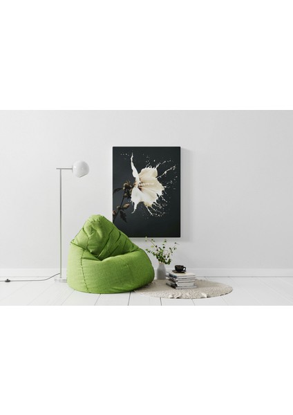 Kanvas Tablo Siyah Beyaz Zambak Temalı 275 modelleri