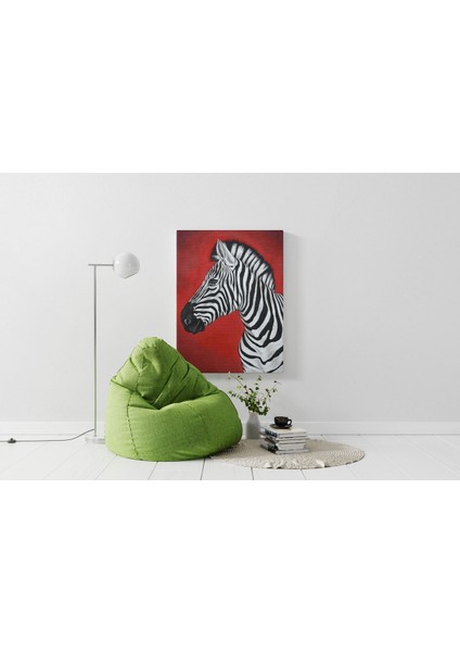 Kanvas Tablo Kırmızı Zebra Figürlü 272 modelleri